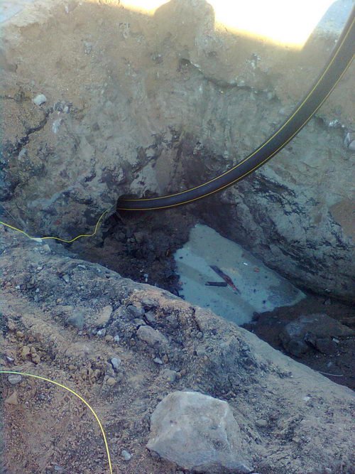 Photo_8